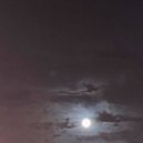 TRUELIGHT - метроном ()