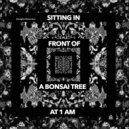 latenightwithshowtime - Sitting in Front of a Bonsai Tree at 1am