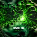 Cosmic Sin - The Psychedelic Brain (Original Mix)