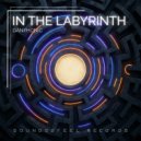 Danphonic - In The Labyrinth ()