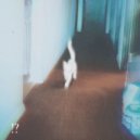 yoursxm & prodbycashavv & yourshxbh - it\'s all in your mind ()