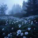 yoursxm & prodbycashavv & yourshxbh - in another life ()