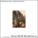 Sleep BGM Mindfulness - Melodies of Mental Toughness and Nature\'s Breath (Original Mix)