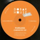Pursang - Fading Connection (Original Mix)
