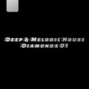 DEEP INJECTION - Shadows In The Rain