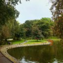 Sunshine & Yusifi - Love in Weston ()