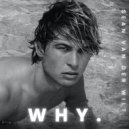 Sean van der Wilt - WHY. ()