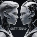 Ritchy & MEIRLIN - You Drive Me Crazy (Extended Mix)