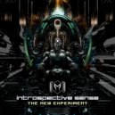 Introspective Sense - The New Experiment (Original Mix)