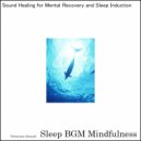 Sleep BGM Mindfulness - Embracing Inner Vision amidst White Noise Whispers (Original Mix)