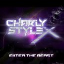 Charly Stylex - Summer Storm