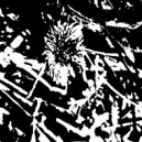 Yulon - Midnight ()