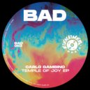 Carlo Gambino - Your Luv (Original Mix)