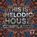 Elyndra - A Bridge Of Breath (Original Mix)