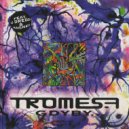 Tromesa - Klucz Tyrakona