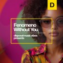 Fenomeno - Without You (Original Mix)