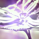 Vladislav Tiasto & Oksanafly - Enchanted forest (Showcase)