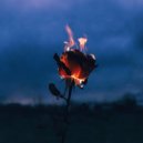 8Kays, GHEIST - Flowers & Guns (Original Mix)