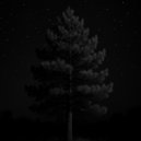 Ljoma Portova - Celestial Change ()