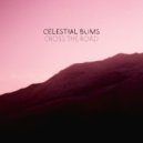 Celestial Bums - Cross The Road ()
