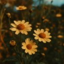 Martha Kaufman - Enchanted Embrace ()