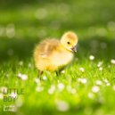 Siarhei Korbut - Little Boy ()