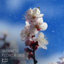 Siarhei Korbut - Japanese Flower (8D)