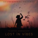 Wasted Sidequest - Lost In Vibes ()
