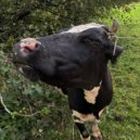 Гидротехника - В поля ()