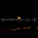 srjlz - never gonna let you go (instrumental)