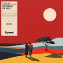 Crystal Rock, Chris Crone, AZVRE - Because Of You (Extended Mix)