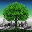 Debu Dwak - Chronic Trees