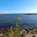 AstroPilot - Flower by the Lake