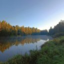 Eternal Meadows - Where Morning Hides (Woodland Rain Soundbath)