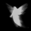 asapn\' - anguish ()