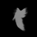 asapn\' - anguish (slowed)