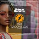 The Disco Stepper - Is Your Love (Original Mix)