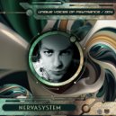Nervasystem - Scarlioni\'s Angle (Original Mix)