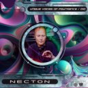 Necton - Funkfactor (Original Mix)