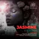 Re Power - Jasmine (NP Project (RU) & Sergey Baribyn Remix)