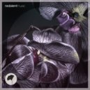 La Santa, Jaalex - Wear Black (Original Mix)