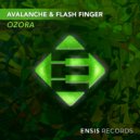 AvAlanche & Flash Finger - Ozora
