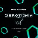 Fede Elizondo - Do You Have A Minute (Original Mix)