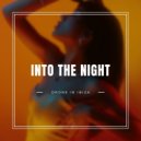 Drone In Ibiza - Into The Night (Original Mix)