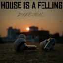 Dukesoul - House Is a Feeling ()