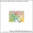 Sleep BGM Mindfulness - Brain Fitness Through Harmonic Melodies