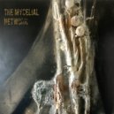 The Mycelial Network - Continuum (Original Mix)