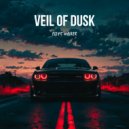 Elias Walker - Veil Of Dusk