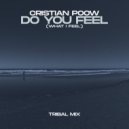 Cristian Poow - Do You Feel (What I Feel) (Original Mix)