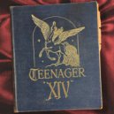 Teenager feat. Ladyhawke - Getting Tough (Original Mix)